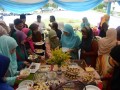 Tn 058 DSC 1501